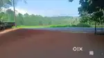 PLOT FOR RENT 30 CENT തിരുവനന്തപുരം പാങ്ങപ്പാറ