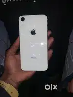 Xr to 16 convert