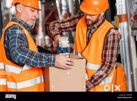 Delivery - supervisor - helper & packing opening in factory