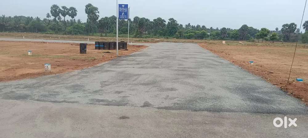 Invest smart in Kinathukadavu DTCP site with clear title,top amenities