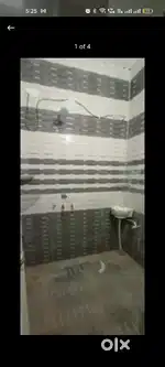 Room size 12*11, daun majra college students only