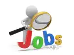 Delivery Boys Jobs