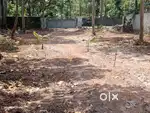 പെരുംപുഴ തൃക്കൊഴിക്കൽ ക്ഷേത്രത്തിനു അടുത്തു ബസ് റൂട്ടിൽ 15 സെന്റ്