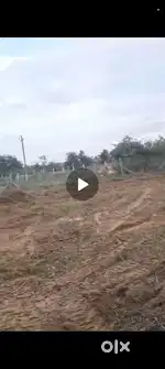 Owner Land