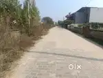 503 Sq Yards, Lane-13 Sector-D, Defence Colony, Ambala Cantt