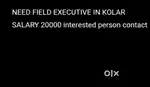 Field executive
