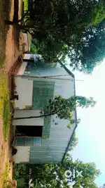 A POULTRY FEED MILL
