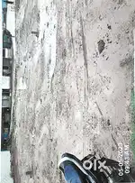 Money urgent