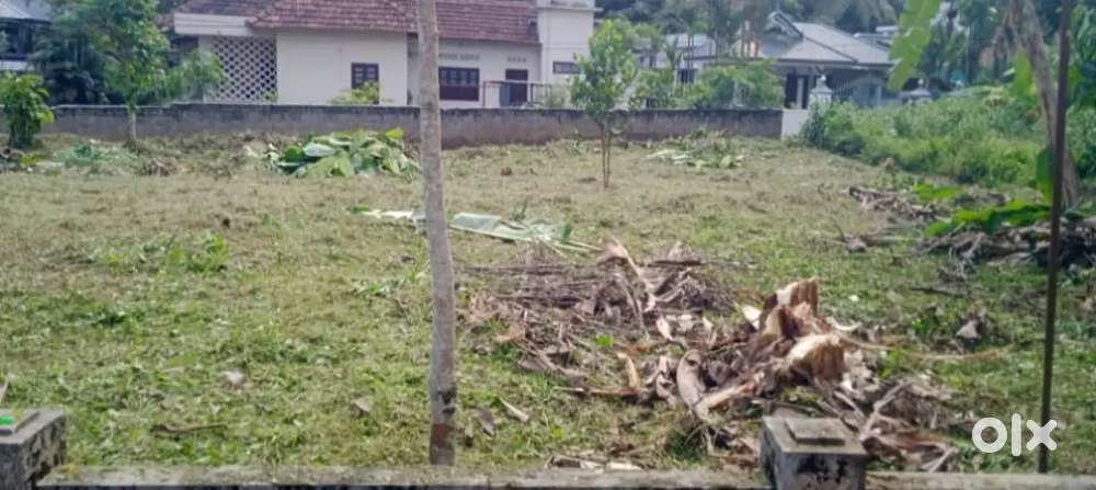 Villa family(മണർകാട് ആണ് സ്ഥലം )