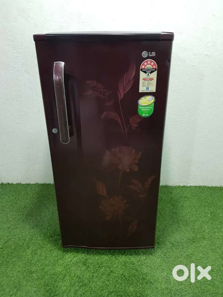 **LG maroon flower 190ltrs single door with warranty and free SHIPPIN
