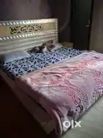 4bhk Fully Furnished independent kothi available for rent 40k