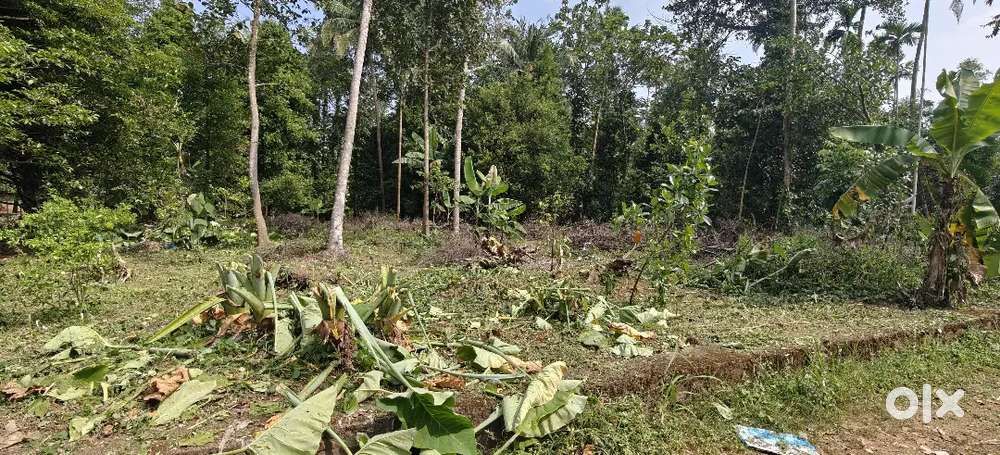 22 to 28 cents square plot