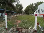 Mannargudi