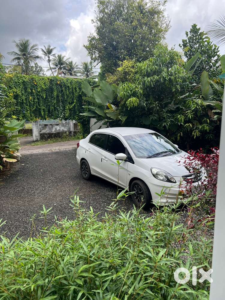 Neat and clean vehicle