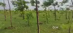 303 Sq 3 lakhs only