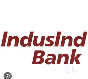 collection executive at indusind bank