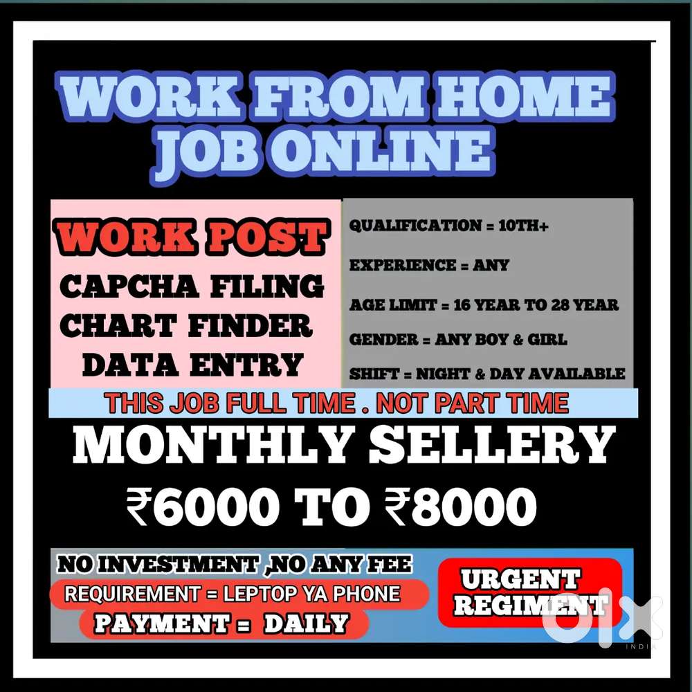 Work From Home Online Job Data Entry D13