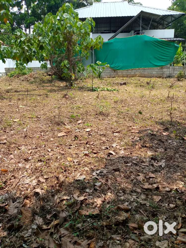 15 cent Land for sale in Pala