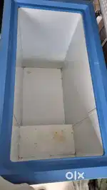Blue star deep freezer