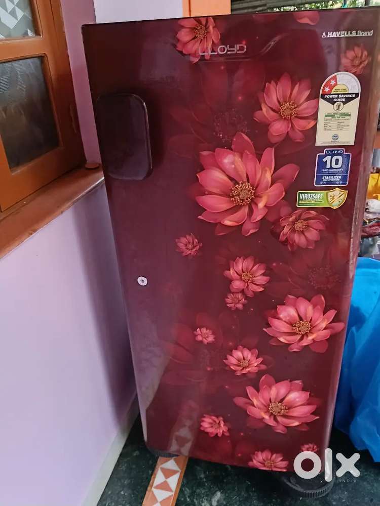 Lloyd Fridge in good condition