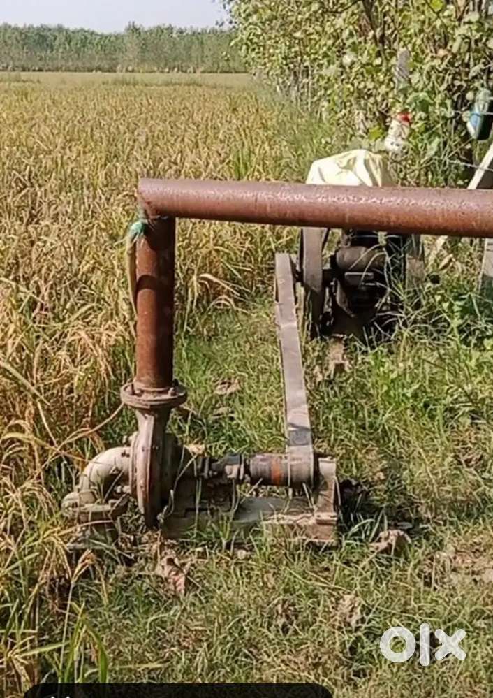 950000 pr bigha 47bigha chilkana Sultanpur me h boring  tar bad Hui h