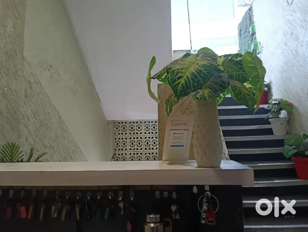 Receptionist and houskiping k liye girls and boys