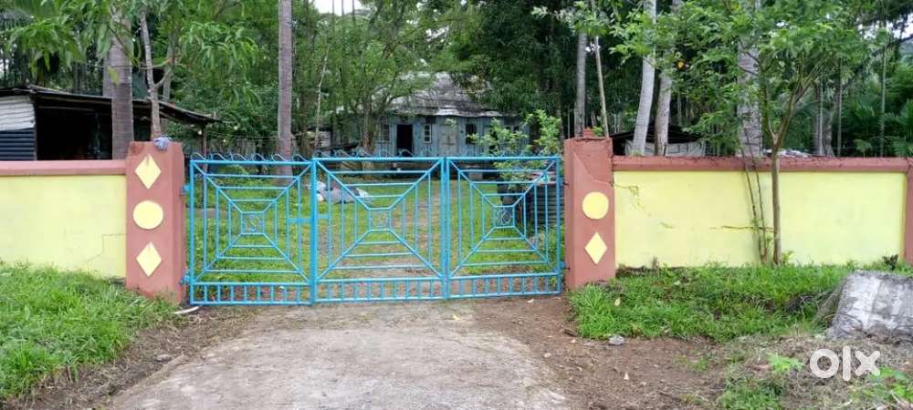 Property for sale in Diglipur north Andaman and Nicobar Islands