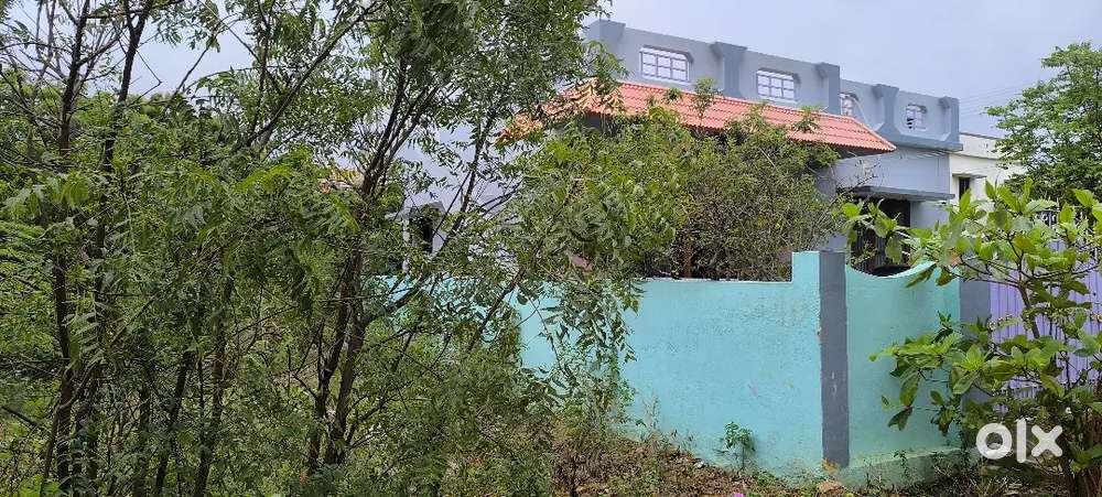 Approved plot for sale Kavalkinaru Star city 4 cent land for sale