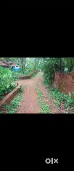 13 cent plot for sale vankulath vayal azhikode