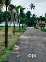 Low Budget Dtcp Plot sale near Othakaalmandabam