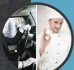 I am Car Driver Cum Cook and I need job