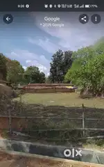 ग्राम बसदेई में  आदिवासी जमीन 25 डिसमिल ( बसदेई पैलेस के बगल में)