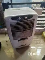 Cooler one year old