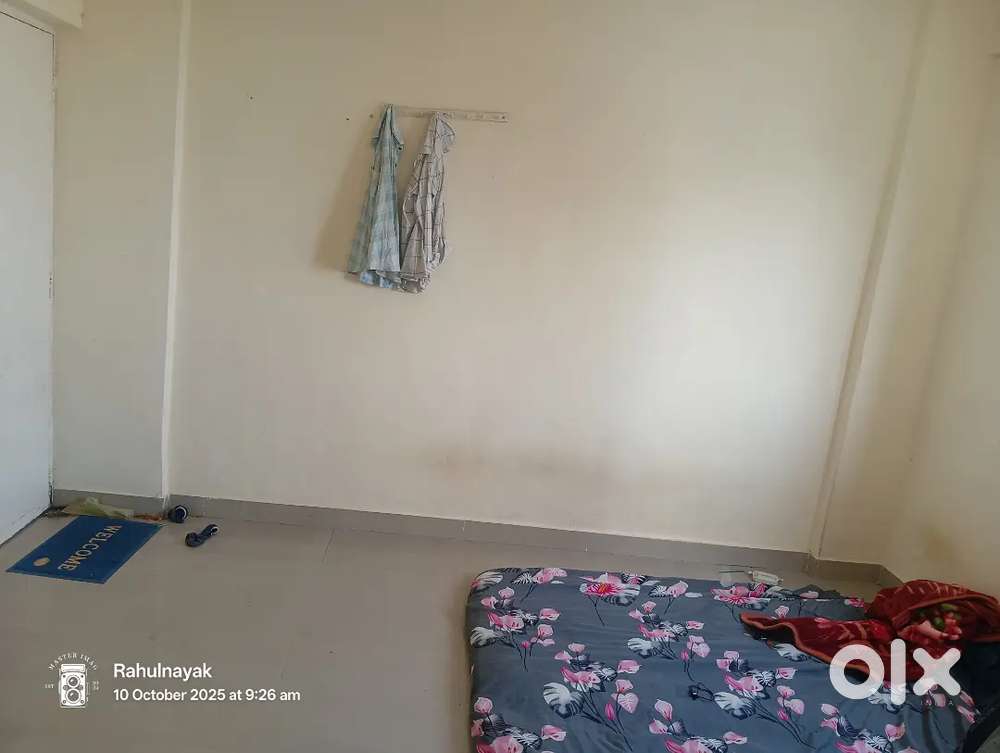 Need male bachelor roommates