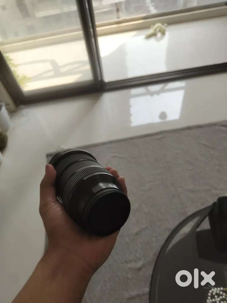 Sigma 24-70 2.8 e-mount