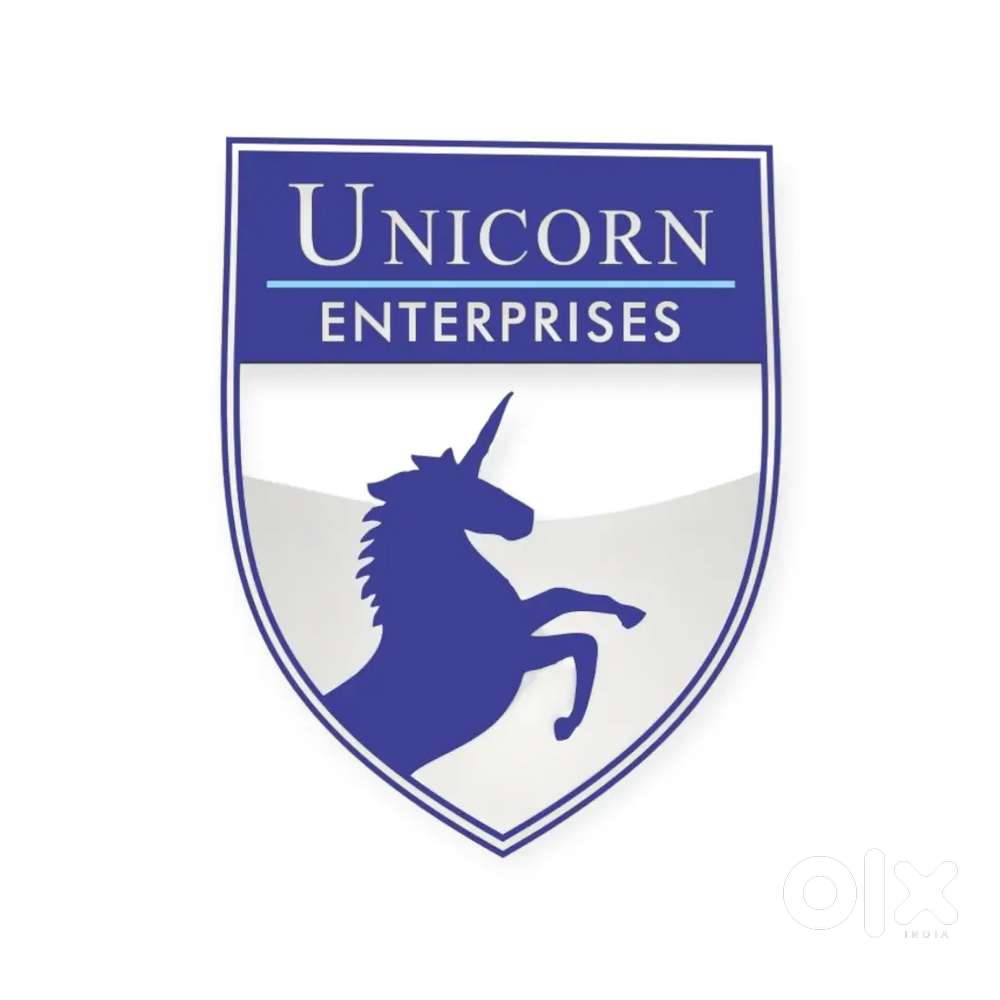 Sales executive