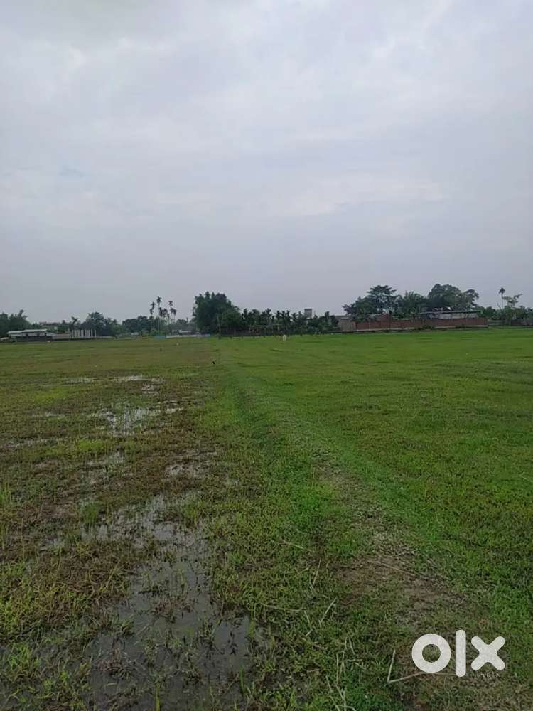 2 (two) katha Land for sale  Place - Dhekiajuli (per katha ₹ 10L)