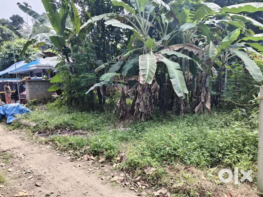 5 Cents House Plot For Sale near Mundur /Kaiparambu, Thrissur @ 3 lakh