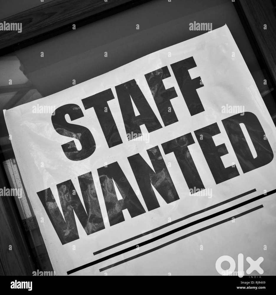 Wanted Four Wheeler Driver(LMV)