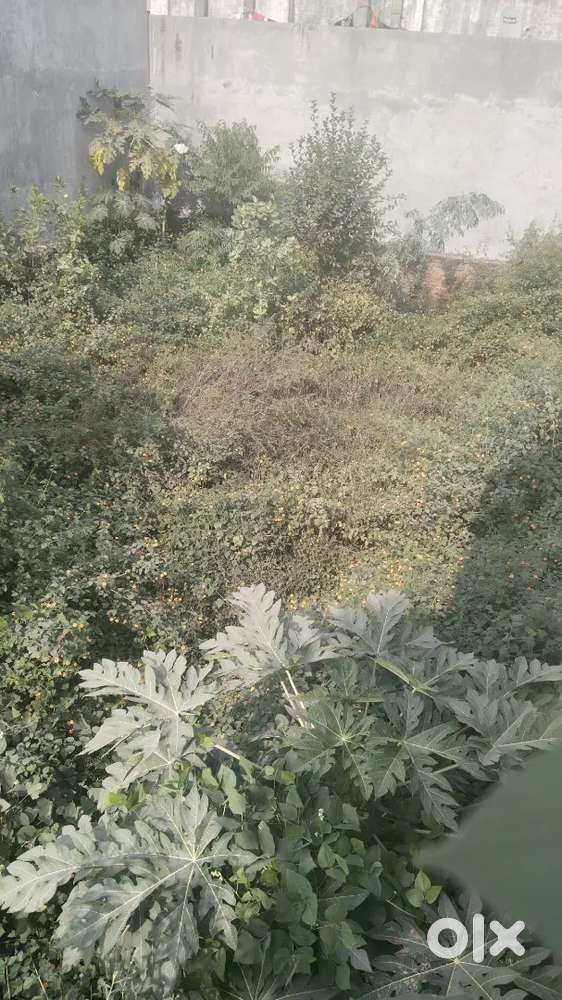 Rate of plot -1700 sqft