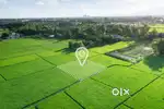 Plot For Sale At Chhend Main Road