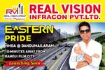 Real Vision Infra projects pvt Ltd