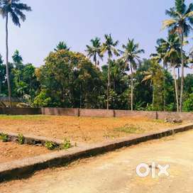 12 CENT HOUSE PLOT (LAND) FOR SALE AT PALLIKKARA, PERINGALA ( XXX )