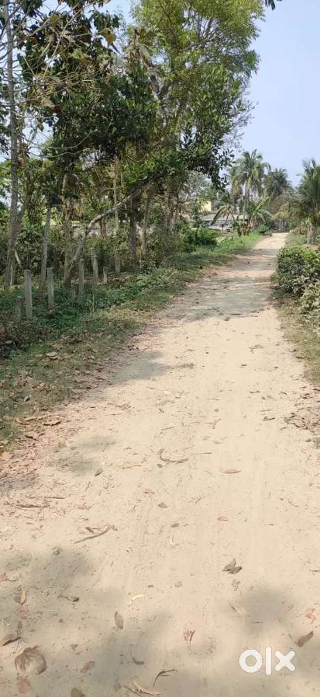 36 katha land available near Kalyani AIIMS