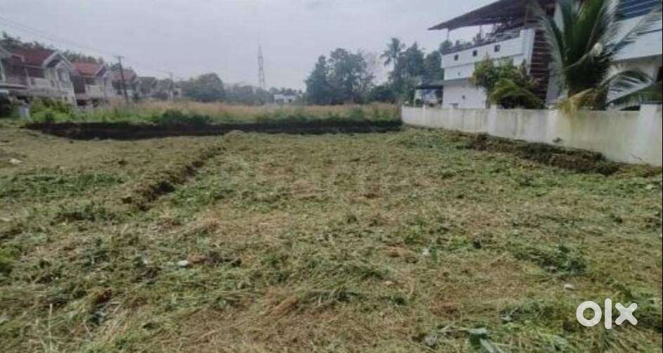 6Cents of Residential Land in Pazhamthottam.