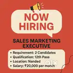 Marketing Executive