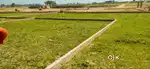 Plot Sale  urgent base