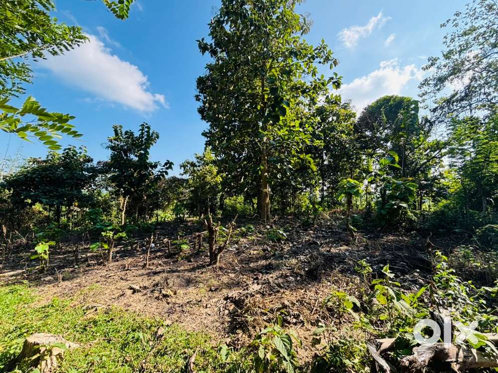 Land sale, polti, kailashahar, unakoti, Tripura