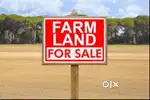 Farmland for sale - Tadas, Hubli - shiggaon road