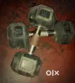 10 Kg Dombles